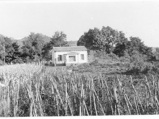 Vivienda Unifamiliar Aislada